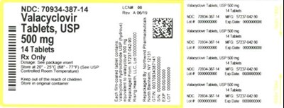 Label (70934 387 14   Rev A 06 19)